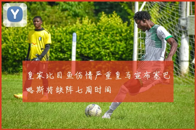 皇家比目鱼伤情严重皇马宣布塞巴略斯将缺阵七周时间