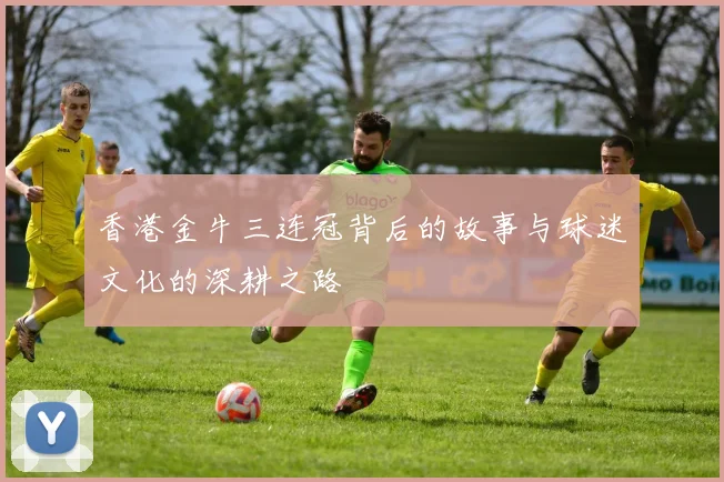 香港金牛三连冠背后的故事与球迷文化的深耕之路